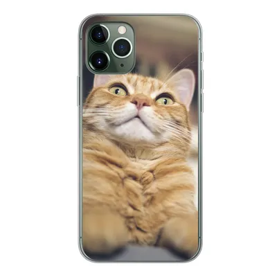 Produktbild von MuchoWow® Handyhülle Schutzhülle Hülle für iPhone 11 Pro Katze - Bank - Orange Silikon Softcase Handy Hülle - Handy