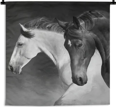 Produktbild von MuchoWow® Wandteppich Wandbehang Pferde - Tiere - Schwarz - Weiß - Porträt 60x60 cm Tapisserie Dekoration Wandtuch - Dekorationen - Wand Decke