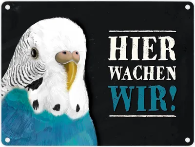 Produktbild von Metallschild mit Wellensittich blau Motiv und Spruch: Hier wachen wir!