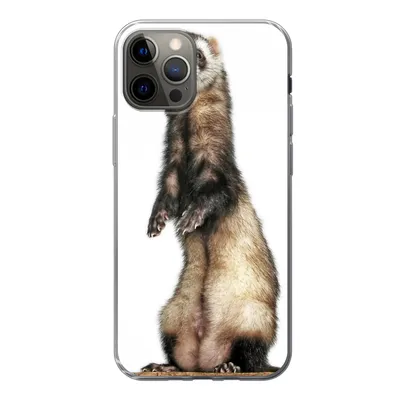 Produktbild von MuchoWow® Handyhülle Schutzhülle Hülle für iPhone 12 Pro Frettchen - Tiere - Fell Silikon Softcase Handy Hülle - Abdeckung