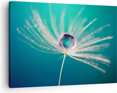 Produktbild von Bild auf Leinwand - Leinwandbild - Pflanze Natur - 70x50cm - Wand Bild - Wanddeko - Wandbilder - Leinwanddruck - Bilder - Kunstdruck - Wanddekoration - Leinwand bilder - Wandkunst - AA70x50-3991