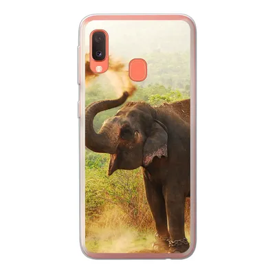 Produktbild von MuchoWow® Handyhülle Schutzhülle Hülle für Samsung Galaxy A20e Elefant - Tiere - Wald - Bäume Silikon Softcase Handy Hülle - Abdeckung
