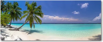 Produktbild von Tulup® Glas-Bild Wandbild aus Glas - 125x50 - Wandkunst - Wandbild hinter gehärtetem Sicherheitsglas - Dekorative Wand für Küche & Wohnzimmer - Landschaften - Strand-Panorama - Blau