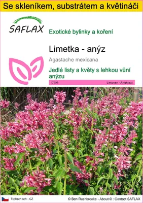 Obrázek produktu pro SAFLAX Kultivační sada - Limetka - anýz - Agastache mexicana - 50 Semena - S mini skleníkem, pěstebním substrátem a 2 květináči