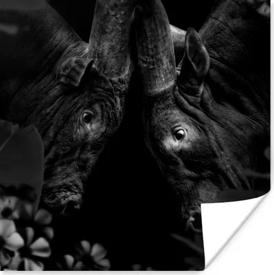Produktbild von MuchoWow® Poster Blumen - Kuh - Dschungel - Schwarz - Weiß 50x50 cm - Wohnzimmerdekoration