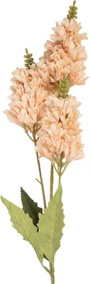 Produktbild von Clayre & Eef Kunstblume 10x7x74 cm Rosa Kunststoff