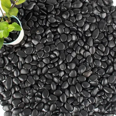 Produktbild von PIQIUQIU Schwarze Polierte Kieselsteine Steingarten Gehweg Garten Dekorative Steine 10-20mm 1KG