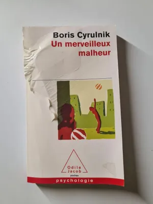 Image de Un merveilleux malheur