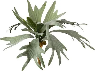 Produktbild von artplants.de Deko Geweihfarn SLUHAR, Steckstab, grün, 35cm - Künstliche Farnpflanze