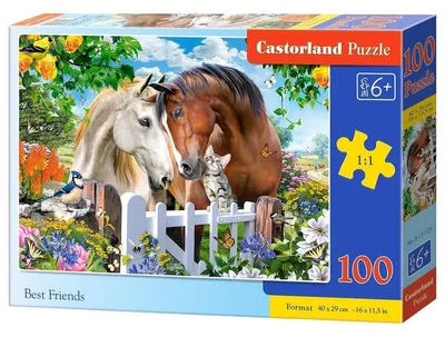 Zdjęcie produktu dla Castorland B-111121, 100 szt., Animals, 6 lat(a)
