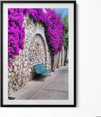 Produktbild von Straße mit Blumen auf Capri, Italien– Wandbild mit Rahmen – Gerahmtes Bild  – Wanddekoration – 70x100 cm –  Schwarz Rahmen
