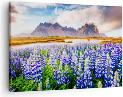 Produktbild von Bild auf Leinwand - Leinwandbild - Berge Wiese Blumen - 70x50cm - Wand Bild - Wanddeko - Wandbilder - Leinwanddruck - Bilder - Kunstdruck - Wanddekoration - Leinwand bilder - Wandkunst - AA70x50-4114