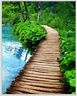Produktbild von Wallario Wandbild Holzweg im Wald, Größe: 40,30 x 50,30 cm, Poster mit weißem Aluminiumrahmen