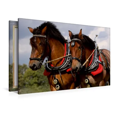 Produktbild von Calvendo  Textil-Leinwand 120 cm x 80 cm quer Starke Pferde, Berg Martina; 7380557