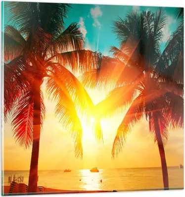 Produktbild von Bilder auf glas - Meer Palme Wasser - 70x70cm - Glasbilder - Wandbilder - Kunstdruck - zum Aufhängen bereit - Wanddekoration aus Glas - Glas Bilder - Wandbild auf Glas - Einteilig - GAC70x70-4018