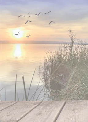Produktbild von Motivpapier Briefpapier (See-5060, DIN A4 100 Blatt) Vögel am Himmel beim Sonnenuntergang über einem wunderschönen See mit Schilf am Ufer und einen Steg aus Holz