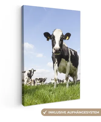 Produktbild von MuchoWow® - Leinwandbilder - Kühe - Gras - Tiere - Sonne - Bauernhof, Wandbild, Wanddeko Bilder Wohnzimmer, 80x120 cm