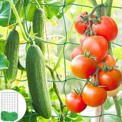 Obrázok produktu pre Plastová opora Klimnet pre paradajky a uhorky, 18 x 27 m – rastlinná mriežka s veľkými okami pre záhradu, balkón a skleník