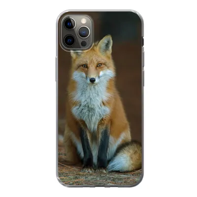 Produktbild von MuchoWow® Handyhülle Schutzhülle Hülle für iPhone 13 Pro Max Fuchs - Makro - Rot Silikon Softcase Handy Hülle - Mobiltelefon