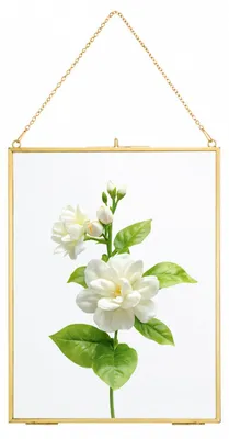 Immagine prodotto di Cornice dorata per foto, in vetro, da appendere, dimensioni 20x25 cm, con doppio vetro
