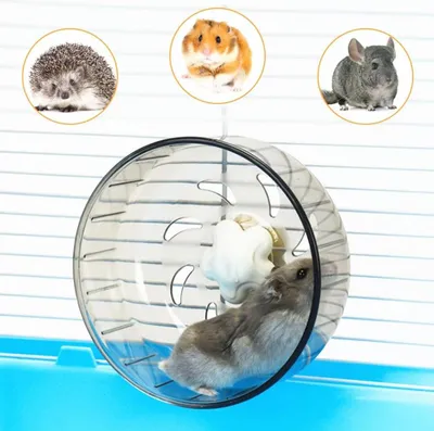 Produktbild von Kleines Übungslaufrad für Nagetiere, 51 Zoll, waschbar