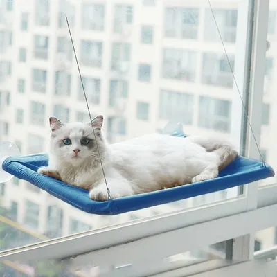 Imagen del producto de Cama colgante para gatos, que proporciona máximo confort a su mascota. Color: azul