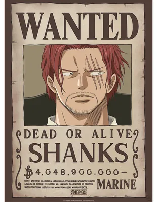 One Piece Wanted Shanks Poster 52x38 cm, laminiert