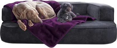 Produktbild von tierlando® Hundedecke LILLY Flauschige Haustier-, Welpen-, Katzen-, Plüschdecke - Größe: 150x100cm | Farbe: 16 Pflaume