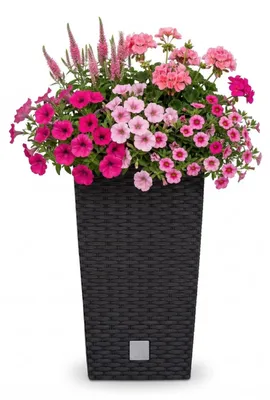 Immagine prodotto di Vaso decorativo da fiori - Plastica effetto rattan - Grigio - 60 cm