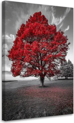Image de Toile Grand arbre rouge Paysage 80x120 Feeby Gris Image pour le mur Prête à accrocher