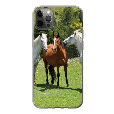 Produktbild von MuchoWow® Handyhülle Schutzhülle Hülle für iPhone 13 Pro Max Pferde - Baum - Schatten Silikon Softcase Handy Hülle - Mobiltelefon