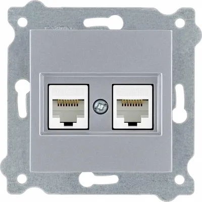 Image de Double prise réseau catégorie 6 argent 254/10E EXEN