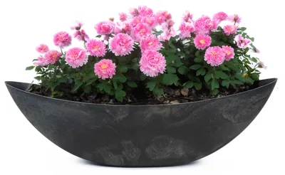 Produktbild von Große Vintage Outdoor Pflanzschale oval 66 cm schwarz