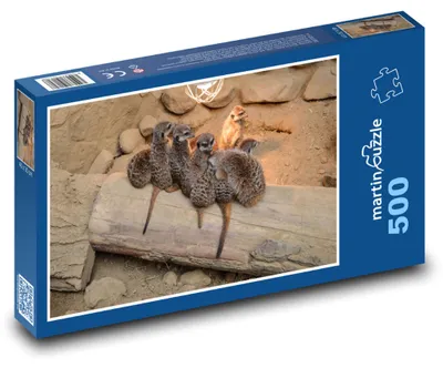 Obrázok produktu pre Puzzle 500 Rodina surikát na výlete - martinpuzzle