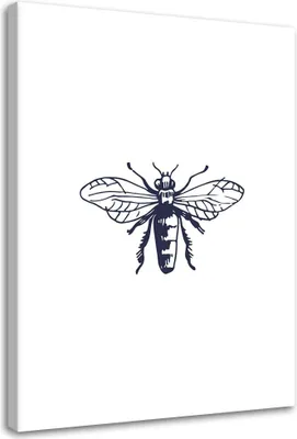 Produktbild von Leinwandbild gezeichnete wespe 40x60 cm Feeby grau wandbild bereit zum aufhängen