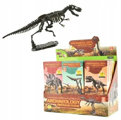 Zdjęcie produktu dla 3D-Dinosaurierskelett - Mustermix