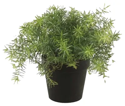 Produktbild von Warentuin Producten