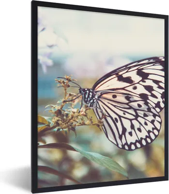 Produktbild von MuchoWow® Gerahmtes Poster Schmetterling - Blumen - Frühling 60x80 cm - Poster mit Schwarzem Bilderrahmen Wandposter Rahmen Foto Bilder - Premium - Wanddeko Wohnzimmer