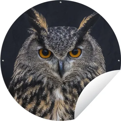 Produktbild von MuchoWow® Gartenposter Outdoor-Poster Rund Uhu Porträt Ø 120 cm Gartendeko Rundes Poster draußen