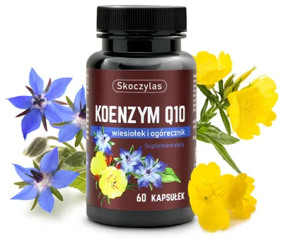 Produktbild von SKOCZYLAS Coenzym Q10 60 Kapseln