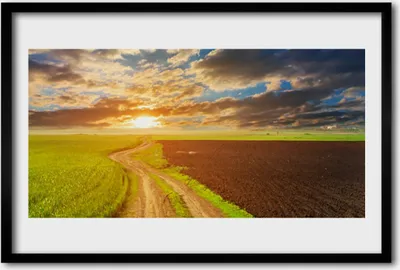 Produktbild von Bild 60x40 MDF-Rahmen Wandkunst Natur Feld Himmel Sonne