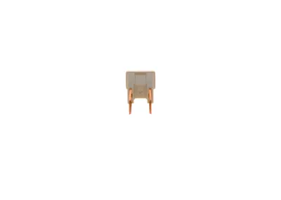 Immagine prodotto di Fusibile BOSCH 1 987 529 075