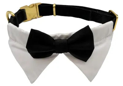 Productafbeelding van Croci Ceremonie: Halsband, bandana, smoking voor honden, overhemd en vlinderdas