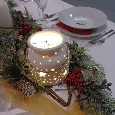 Obrázok produktu pre DECOLED Girlanda s červenými bobuľami, 270 cm, srienistá