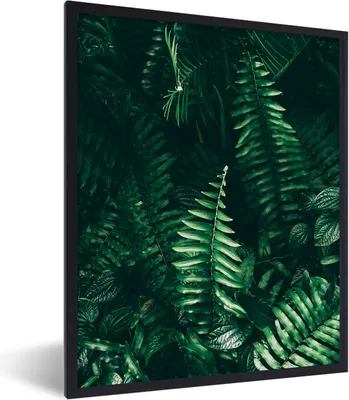 Produktbild von MuchoWow® Gerahmtes Poster Blätter - Dschungel - Natur - Tropisch - Pflanzen 60x80 cm - Poster mit Schwarzem Bilderrahmen Wandposter Rahmen Foto Bilder - Premium - Wanddeko Wohnzimmer