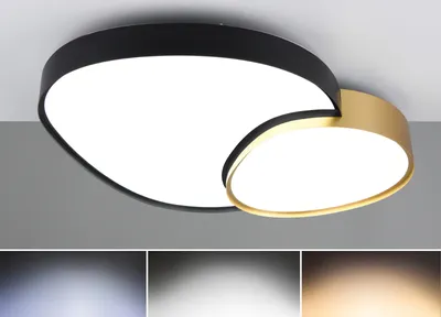 Produktbild von TRIO-Leuchten Deckenleuchte RISE BHT 77x11.50x63.50 cm bunt Deckenlampe