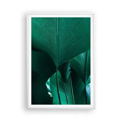 Produktbild von Gerahmtes Poster - Weißer Rahmen - Blätter Palmen Banane - 70x100 cm - Wand Bild - Wanddeko - Wandbilder - Kunstposter - Wandposter - Bilderrahmen - Bilder - Kunstdruck - P2WPA70x100-4694