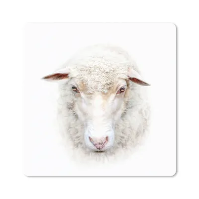 Produktbild von MuchoWow® Mauspad Mousepad Schafe - Porträt - Wolle 20x20 cm - Mousepads - Maus Mat - Pad - Mausunterlage - Desk Mat - Bureauartikeln