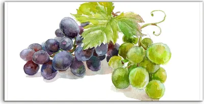 Produktbild von Coloray Acrylbild 100x50  Wandbild Acrylbilder Malerei Wein Wein Obst Blatt Traube