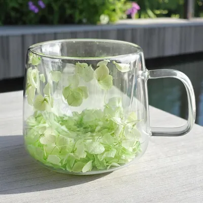 Immagine prodotto di Thermos Carla in vetro verde Balthazarex 180 ml